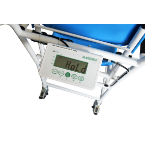 Marsden M-225 Chair Scale, Class III Approved, 250kg Capacity, BMI & BSA Calculation