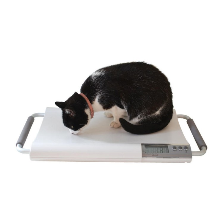 Marsden V-20 Small Veterinary Scale, 20kg Capacity, Ideal for Cats and Small Dogs