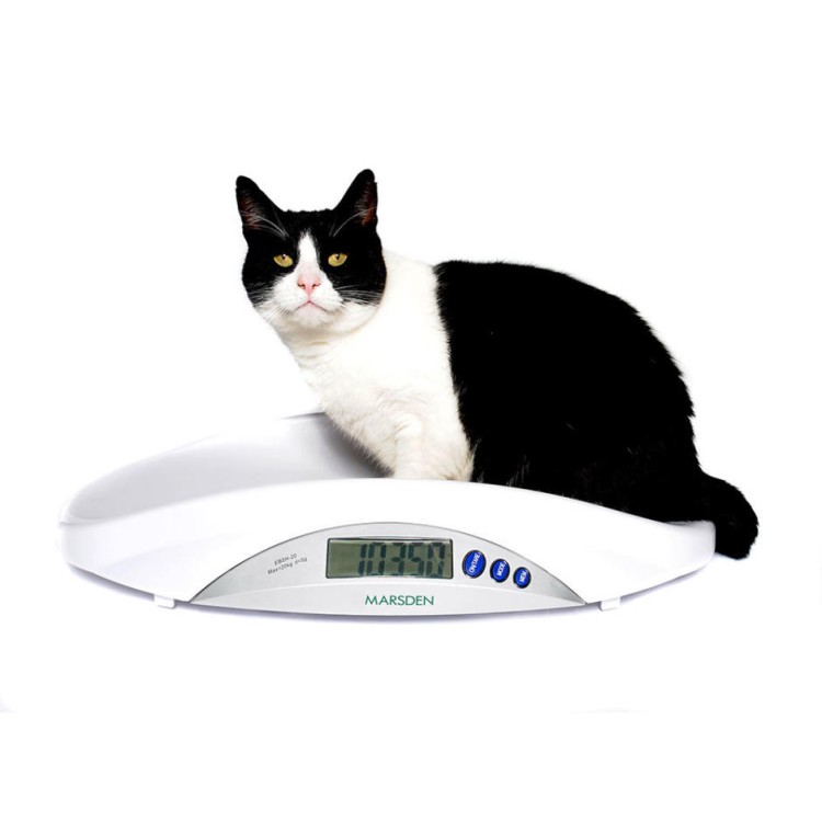 Marsden V-22 Veterinary Scale, 20kg Capacity, Ideal for Cats, Small Dogs and Small Pets