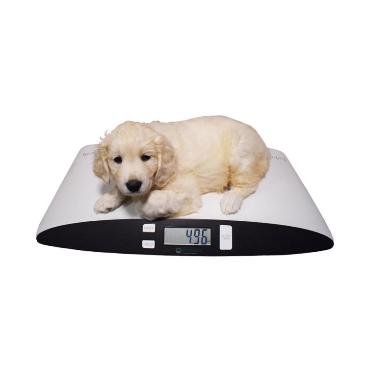 Marsden V-25 Veterinary Scale, 25kg Capacity, Ideal for Cats and Small Dogs.