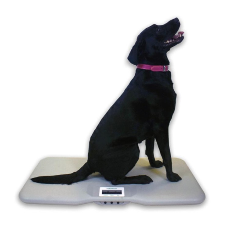 Marsden V-110 Veterinary Scale, 150kg Capacity, Lightweight Animal Scale for Larger Pets.