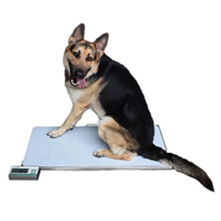 Marsden V-180 Large Veterinary Scale, 180kg Capacity, Stainless Steel Platfor